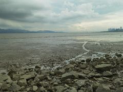 -深圳湾公园(南山区)