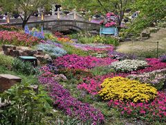 -苏州上方山国家森林公园