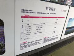 -紫颐香薰山谷景区