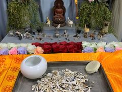 -彩虹桥宠物火化殡葬善终服务(金乐大厦店)