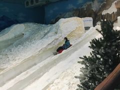 -世界之窗阿尔卑斯冰雪世界