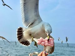 -星海广场