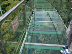 -陶祖圣境风景区