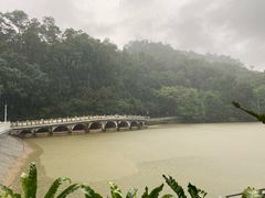 -深圳仙湖植物园