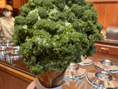 -龟兹KUCINA·新疆菜(前滩L+PLAZA店)