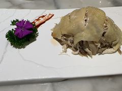 -蝶园·装修中(BFC外滩金融中心店)