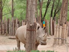 -北京野生动物园