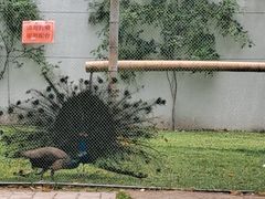 -龙华寺