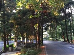 -南岳衡山风景名胜区