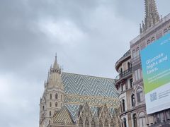 -斯蒂芬主教座堂(Stephansdom)
