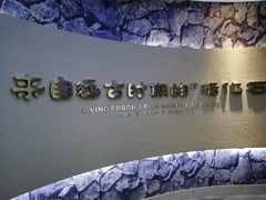 -中国扬子鳄村