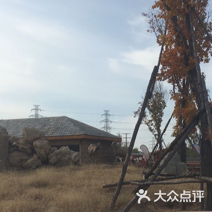 龍沙動植物園