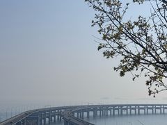 -星海湾跨海大桥