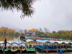 -西宁市人民公园(城西区)