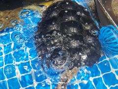 -舟山海鲜·江浙菜(银沙路店)