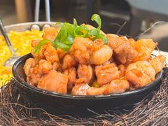 -丁老爷子苏香圆