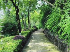 -铁山坪森林公园