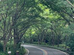 -同里国家湿地公园