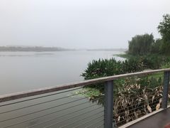 -潜龙渠公园