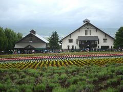 -富田农场