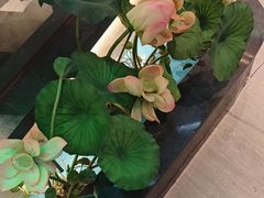 -客家班·客家菜(嘉禾金铂店)