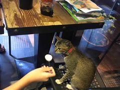 -文昌林记清补凉(万达广场店)