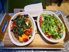 -油梨树AVOCADO TREE(望京店)