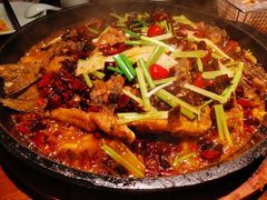 -老板恋上鱼(高新万达店)