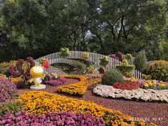 -上海共青森林公园