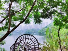 -重庆彩云湖湿地公园