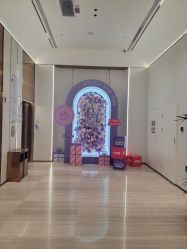 -深圳美莱医疗美容医院