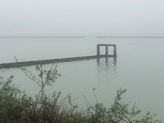 -贡湖湾湿地公园