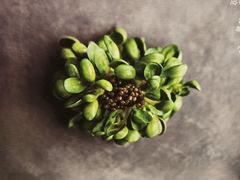 -真地道京味府·鲜橙烤鸭·北京菜(朝外大街东大桥店)