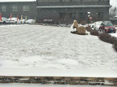 -陆地游轮吉林神农温泉