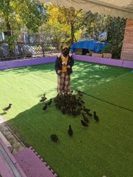 -萌宠亲子动物乐园(槐房万达店)