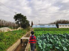 -上海长兴岛郊野公园