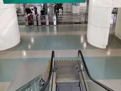 -龙阳路磁悬浮列车总站-停车场