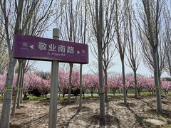 -南开大学(津南校区)