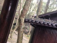 -富春桃源风景区