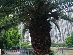 -苏州河梦清园环保主题公园