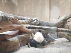 -宁波野生动物园