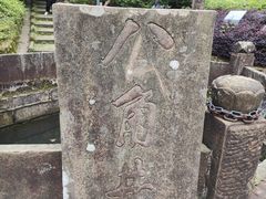 -缙云山景区