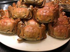 -梧桐花园餐厅(新城店)