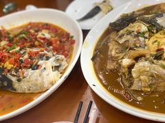 -全乐鱼馆·淳牌有机鱼直营店