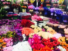 -双季花艺园艺市场(浦东店)