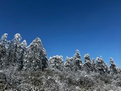 -瓦屋山景区