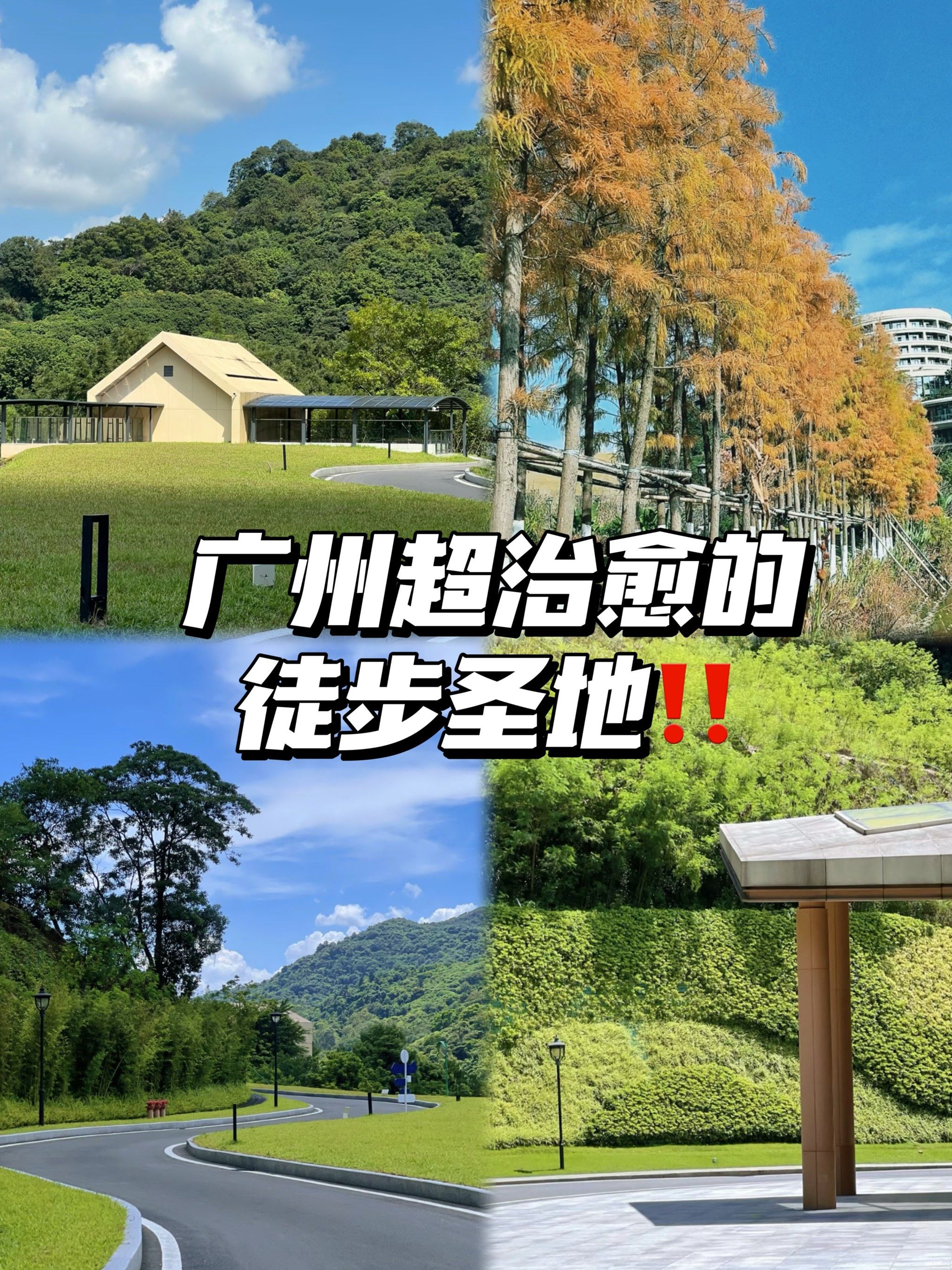 美称广州新西兰的徒步圣地‼️太出片了‼️