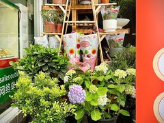 -FEI FEI FLOWER鲜花店·气球派对·宝宝宴布置(虹口德必运动Loft店)