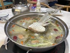 鱼翅-中山脆肉鲩(新圳东路店)