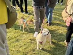 -上海神旺大酒店